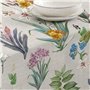 Nappe enduite antitache Belum 0120-349 Multicouleur 100 x 150 cm