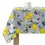 Nappe Belum 0120-260 Multicouleur 200 x 150 cm