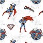 Nappe Belum Superman 05 Multicouleur 150 x 150 cm