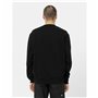 Sweat à capuche homme Dickies Oxford Blanc Noir