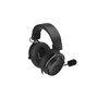 Casques avec Microphone Endorfy VIRO Plus USB Noir