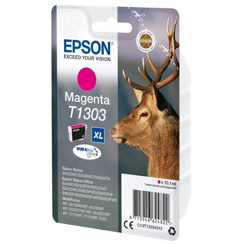Image secondaire de Epson Stag Cartouche 