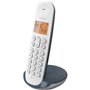 Téléphone fixe sans fil - LOGICOM - DECT ILOA 150 SOLO - Ardoise - Sans répondeur