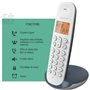 Téléphone fixe sans fil - LOGICOM - DECT ILOA 150 SOLO - Ardoise - Sans répondeur