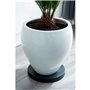 NATURE Tablette a roulettes pour plantes - Polypropylene - H4 x Ø29,2 cm