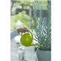 NATURE Arrosoir - En polyéthylene - Light vert - 1,8 L