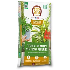 Terreau plantes vertes et fleuries d'intérieur - OR BRUN - OBRTPV20N - 20 L