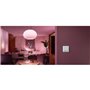 Philips Module d'interrupteur mural Hue