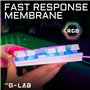 Clavier Gaming - Membrane RGB TKL - THE G-LAB -  KEYZ-CAESIUMT-W/FR - FR Layout - 12 raccourcis - 100% personnalisable -