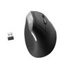 Souris Optique Ergonomique Ewent ew3229 Noir/Gris