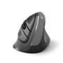 Souris Optique Ergonomique Ewent ew3229 Noir/Gris