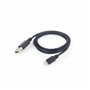 Câble USB vers Lightning GEMBIRD CA1932081 (1m)