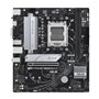 ASUS PRIME B650M-K AMD B650 Emplacement AM5 micro ATX