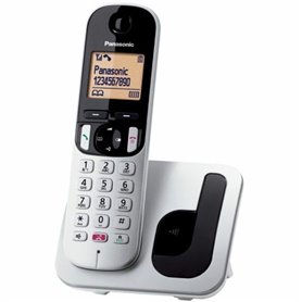 Téléphone Sans Fil Panasonic KXTGC250SPS Argenté