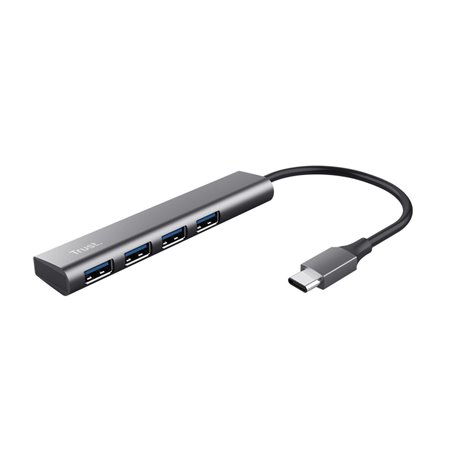 Trust Halyx USB 3.2 Gen 1 (3.1 Gen 1) Type-A 5 Mbit/s Gris