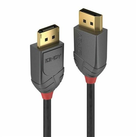 Lindy 36482 câble DisplayPort 2 m Noir
