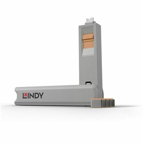 Lindy 40428 bloqueur de port Clé de bloqueur de port USB Type-C Gris
