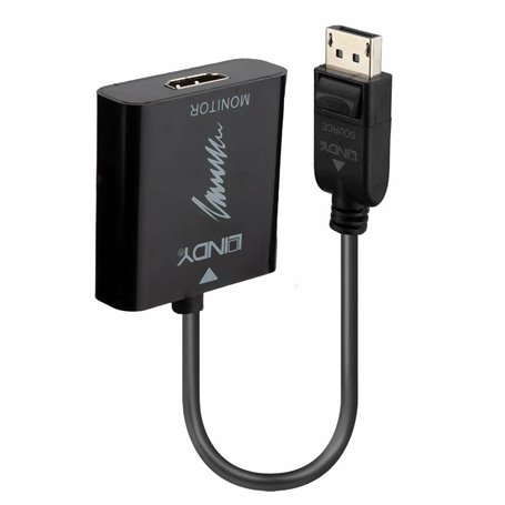Lindy 41068 câble vidéo et adaptateur 1