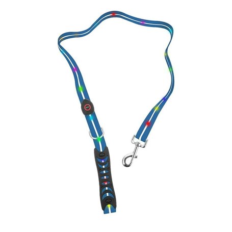 Laisse pour Chien Doggy Village MT7118 Bleu 1