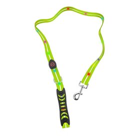 Laisse pour Chien Doggy Village MT7121 Vert 1