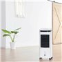 Climatiseur Évaporation Portable Black & Decker ES9560030B Blanc