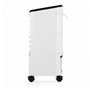 Climatiseur Évaporation Portable Tristar AT-5446 Blanc 65 W