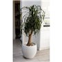 EDA Pot rond Graphit Ø50cm - Contenance 46L - Blanc cérusé