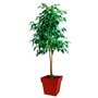 Pot de fleur carré Toscane - EDA PLASTIQUE - Rouge rubis - 38 L - 39x39xH39cm