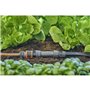 Centrale d'irrigation 1000 - Connexion Quick & Easy - 13333-20 - Arrosage de jardin - MDS, raccords et tuyaux