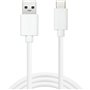 Câble USB A vers USB-C Sandberg 136-15 Blanc 1 m (1 Unité)