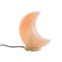 Lampe de bureau DKD Home Decor Rose Sel Acacia 15 W 220 V 20 x 10 x 23 cm