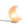 Lampe de bureau DKD Home Decor Rose Sel Acacia 15 W 220 V 20 x 10 x 23 cm