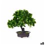 Plante décorative Bonsai Plastique 27 x 28 x 14 cm (8 Unités)