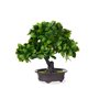 Plante décorative Bonsai Plastique 27 x 28 x 14 cm (8 Unités)