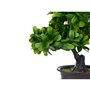 Plante décorative Bonsai Plastique 27 x 28 x 14 cm (8 Unités)