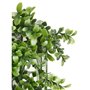 Jardin vertical Vert Plastique Volets 50 x 50 cm