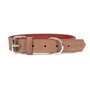 Collier pour Chien Gloria Oasis Marron (1