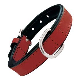 Collier pour Chien Gloria Rembourré Rouge 50 cm (50 x 2