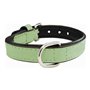 Collier pour Chien Gloria Rembourré Vert (55 x 2