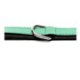Collier pour Chien Gloria Rembourré Vert (55 x 2,5 cm)