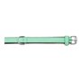Collier pour Chien Gloria Rembourré Vert (55 x 2,5 cm)