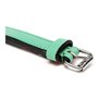 Collier pour Chien Gloria Rembourré Vert (55 x 2,5 cm)