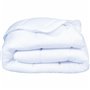 Remplissage de couette DODO Aloe Blanc 300 g/m² 220 x 240 cm (Lit double)