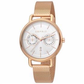 Montre Femme Esprit ES1L179M0095