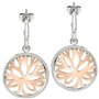 Boucles d´oreilles Femme Morellato SATD08 Acier inoxydable