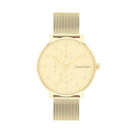 Montre Homme Calvin Klein 25200403 Doré