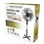Ventilateur sur Pied Esperanza EHF001KE Blanc Noir 50 W