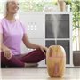 Mini humidificateur diffuseur d'arômes Honey Pine InnovaGoods