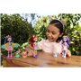 Enchantimals Coffret City Tails Hadley Husky et Sledder