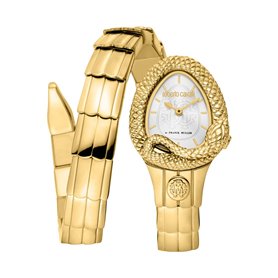 Roberto Cavalli By Franck Muller Montres Jaune Femme